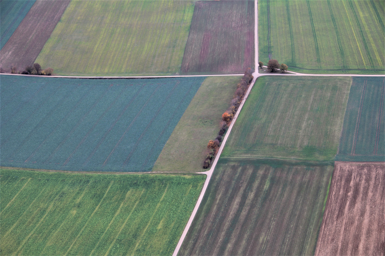 Blick auf den Herbst