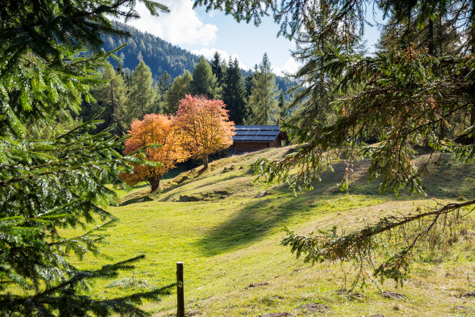 Blick auf den Herbst