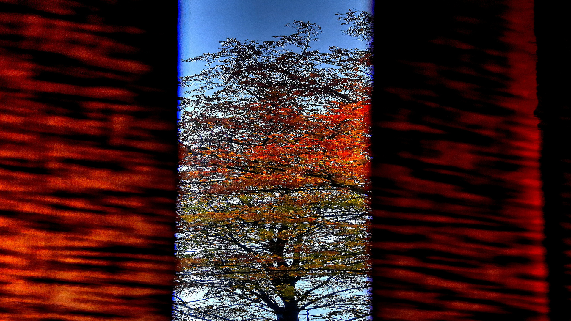 Blick auf den Herbst im Fenster...