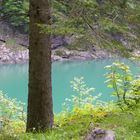 Blick auf den hinteren Gosausee