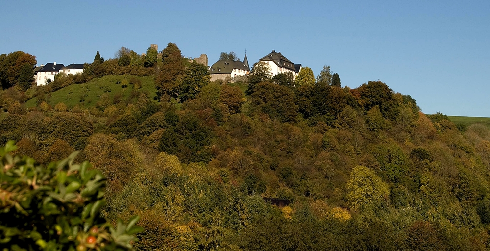 Blick auf den historischen Burgort Kronenburg