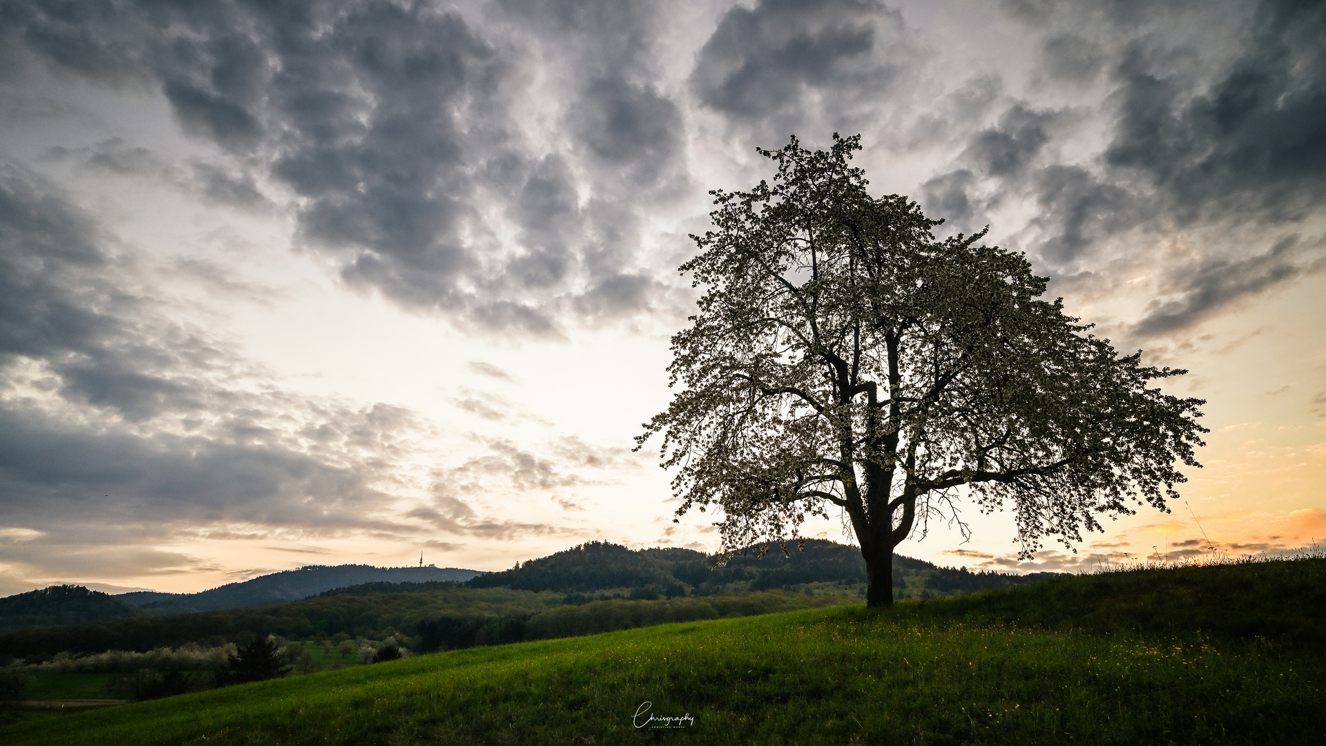 Blick auf den Hochblauen