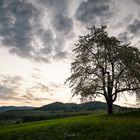 Blick auf den Hochblauen