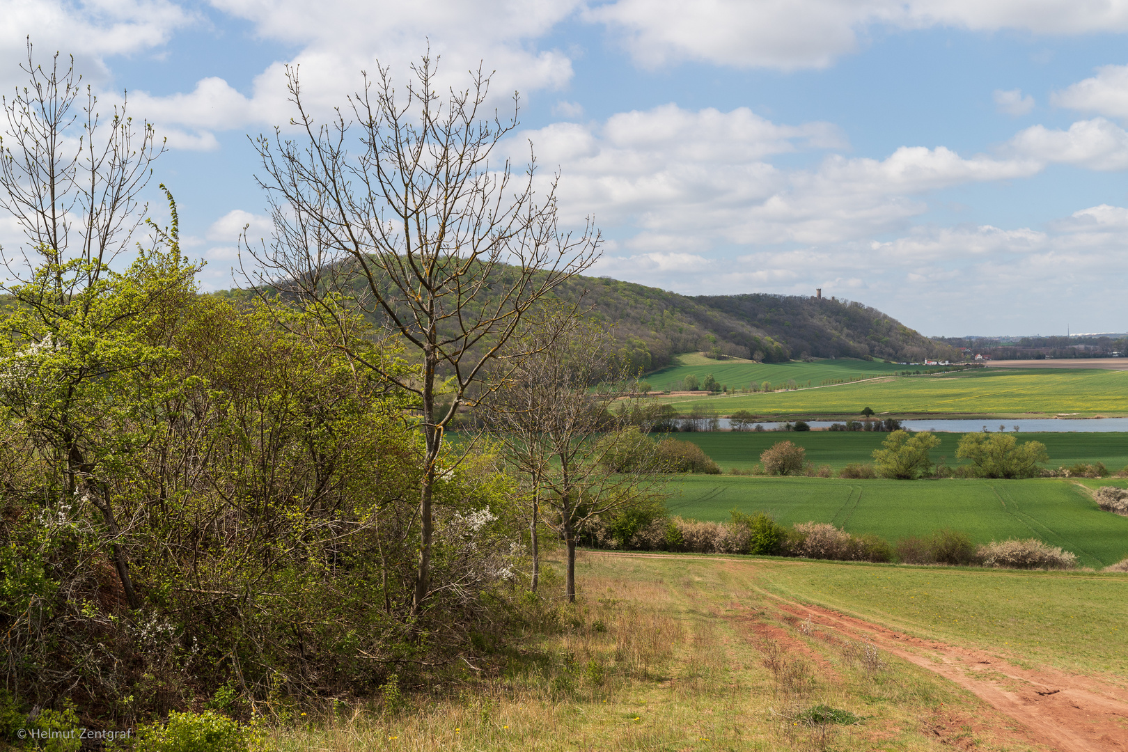 Blick auf den Höhenzug zwischen Mühlburg und Wachsenburg -Wanderung im Gebiet der "Drei Gleichen"