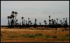 Blick auf den Hohen Atlas, Marrakesh, Marokko