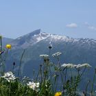 Blick auf den Hohen Ifen...