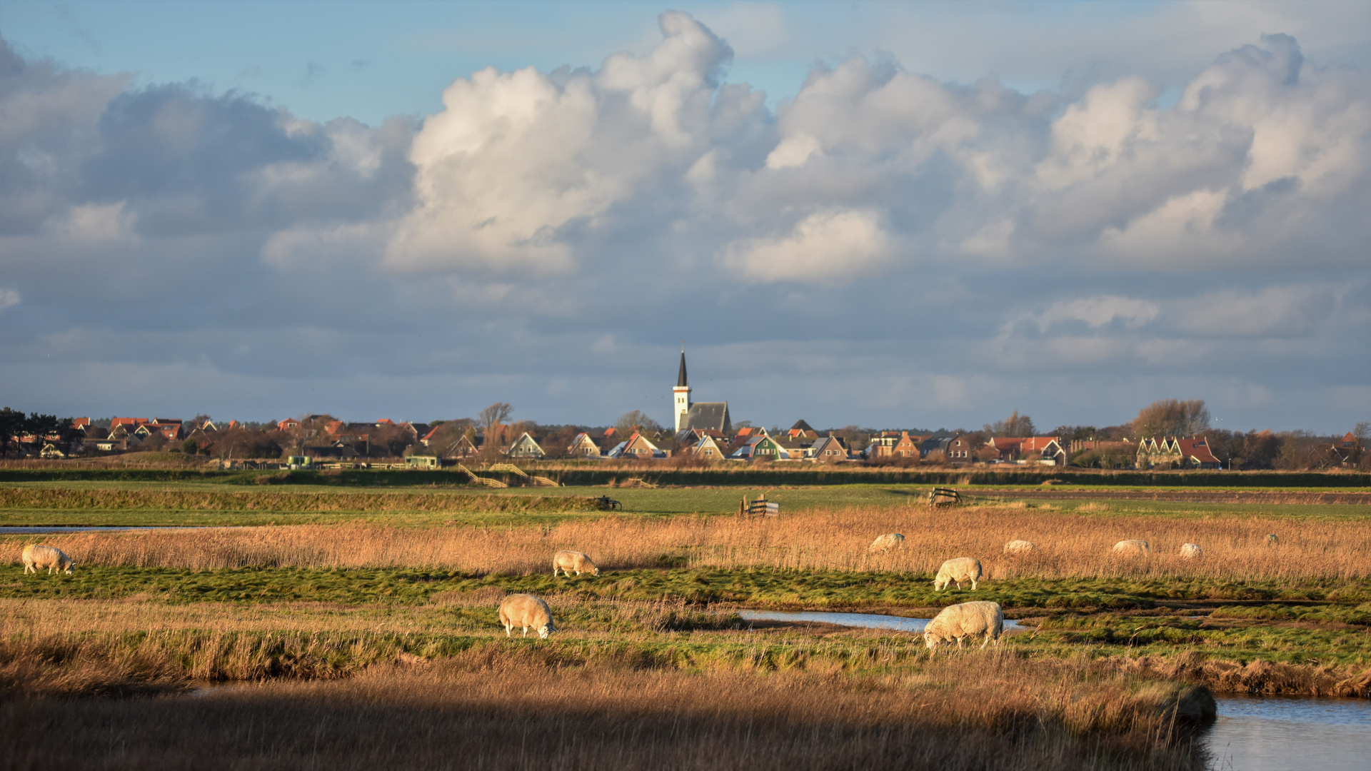 Blick auf Den Hoorn