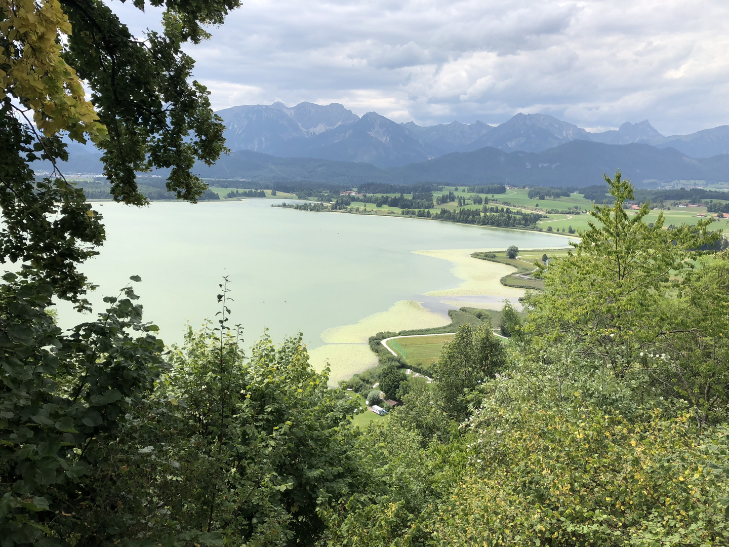 Blick auf den Hopfensee