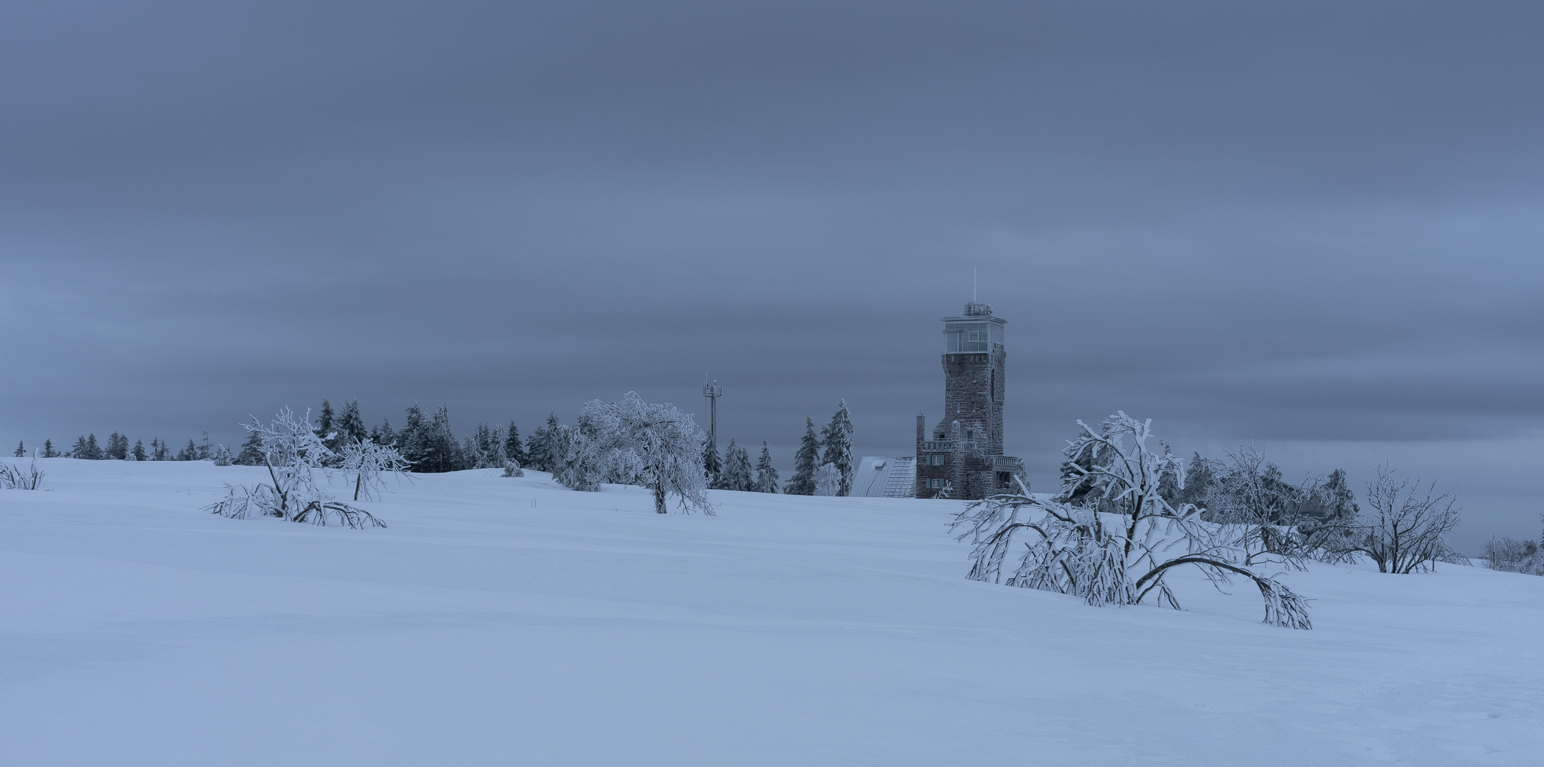 Blick auf den Hornisgrindenturm