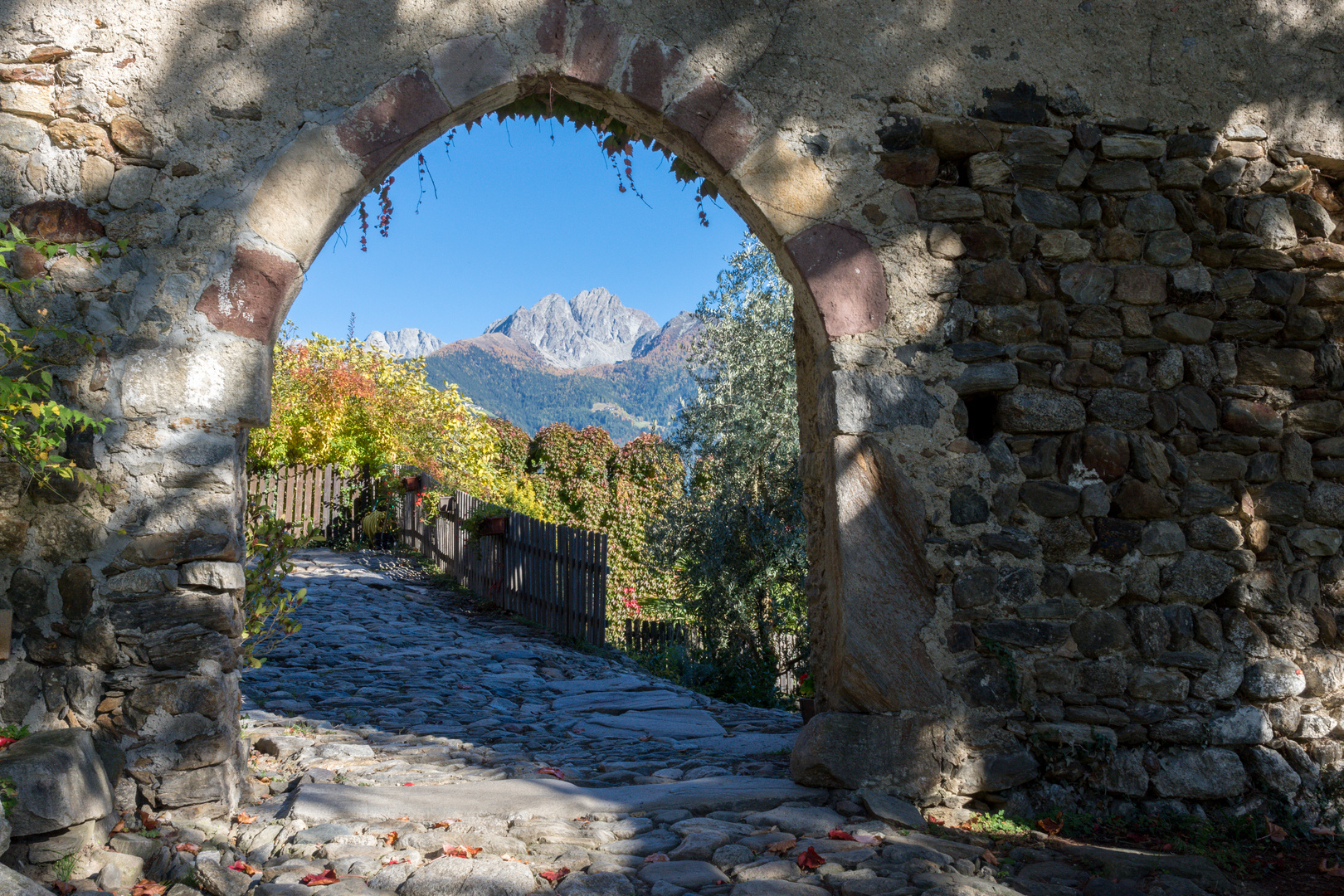 Blick auf den Ifinger