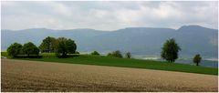 Blick auf den Jura