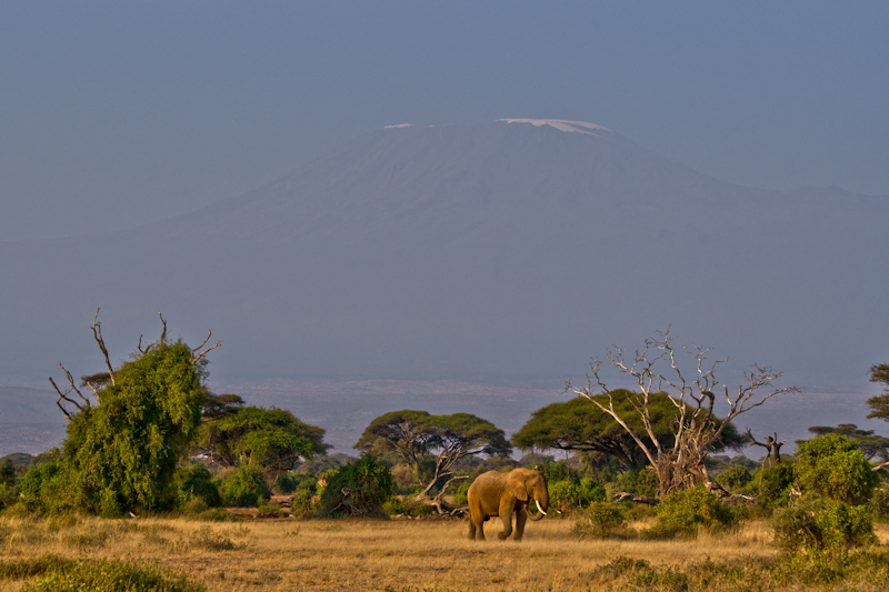 Blick auf den Kili