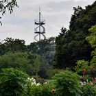 Blick auf den Killesbergturm vom Park aus.