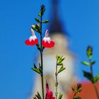 Blick auf den Kirchturm