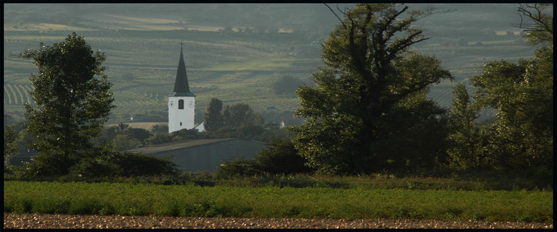 Blick auf den Kirchturm von Guntramsdorf