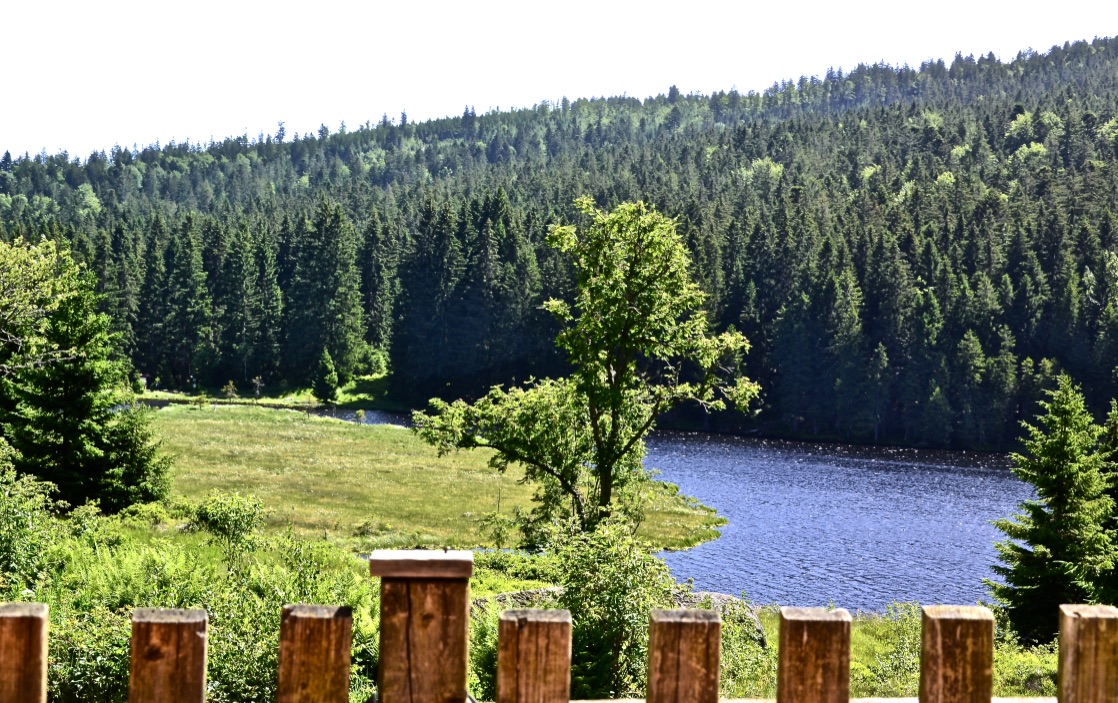 Blick auf den Kleinen Arbersee…