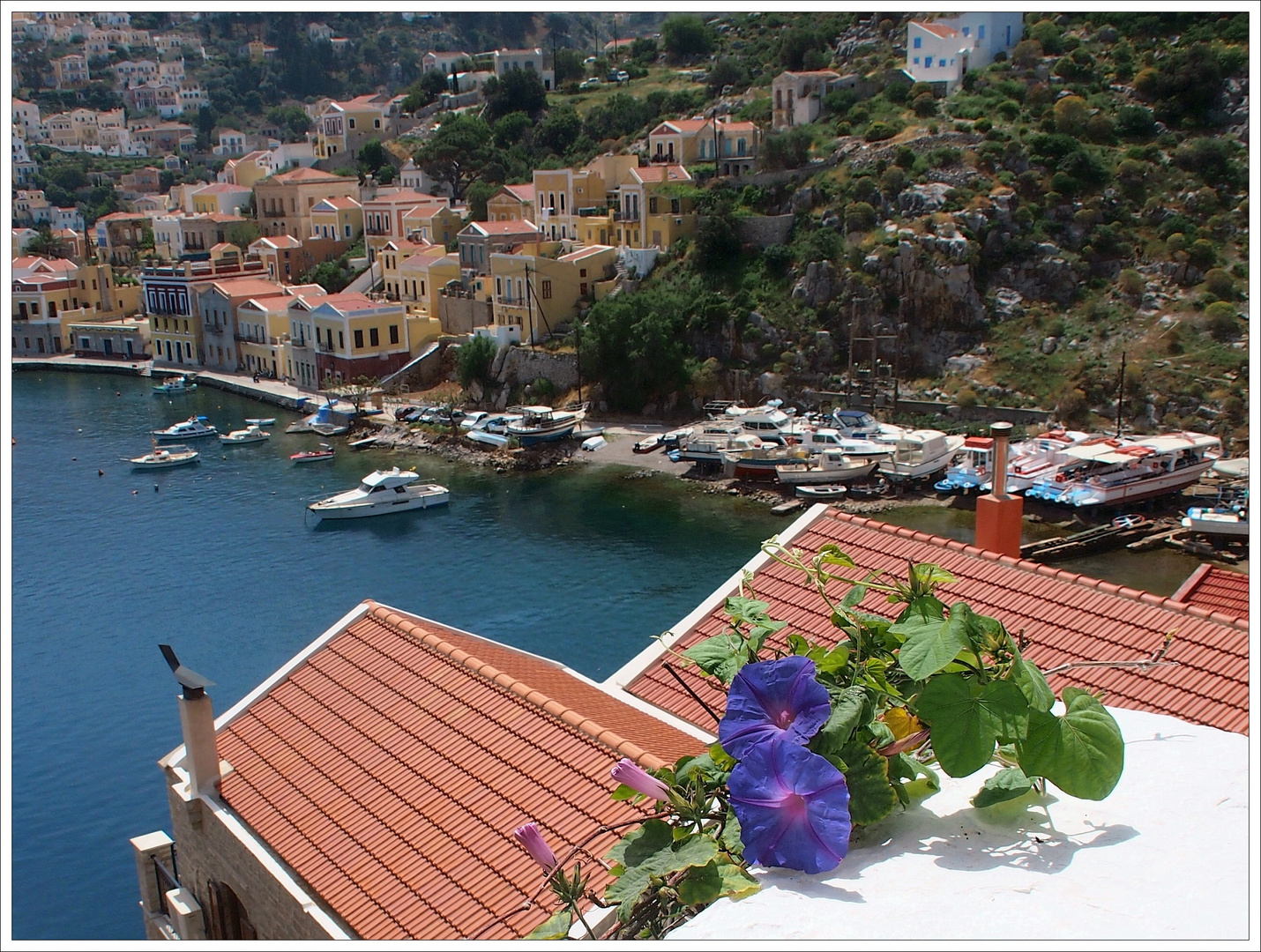 Blick auf den kleinen Hafen von Symi