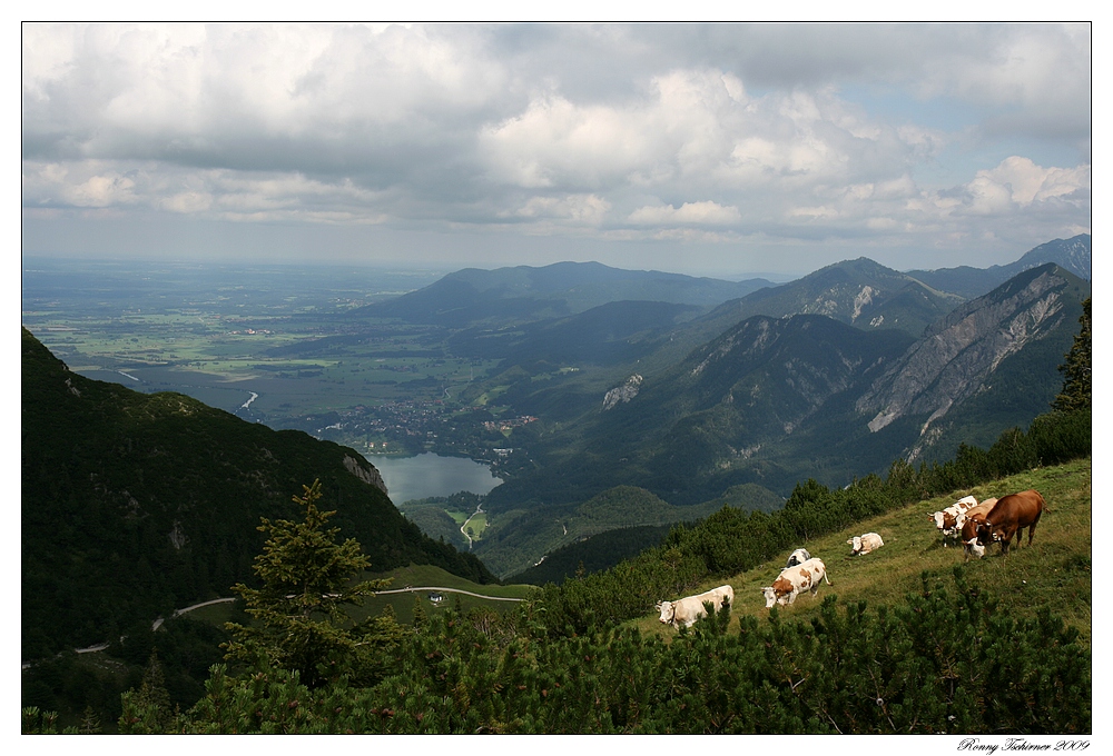 Blick auf den Kochelsee