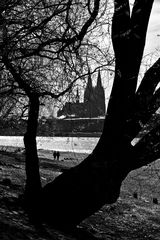 Blick auf den Kölner Dom