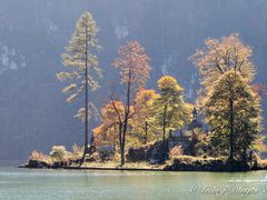 Blick auf den Königsee