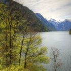 Blick auf den Königsee