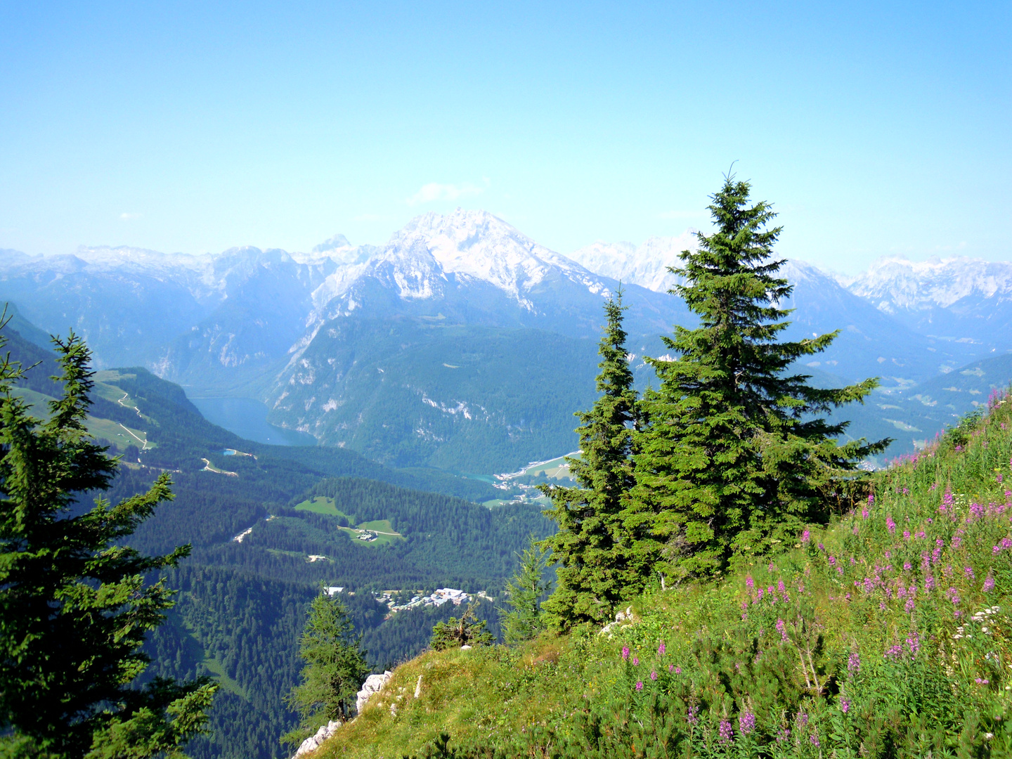 Blick auf den Königssee