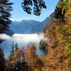 ~ Blick auf den Königssee ~