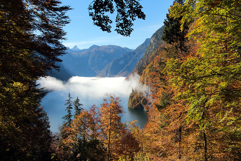 ~ Blick auf den Königssee ~