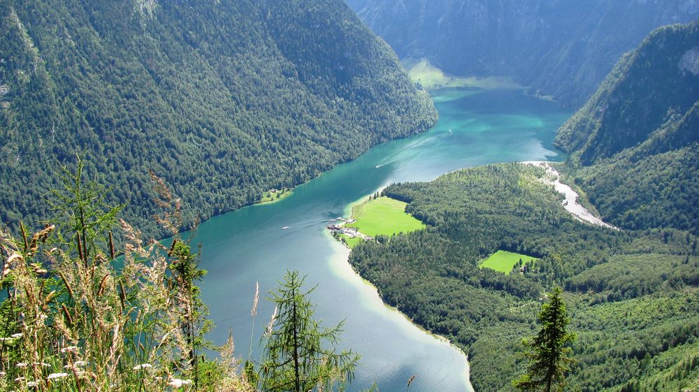 Blick auf den Königssee