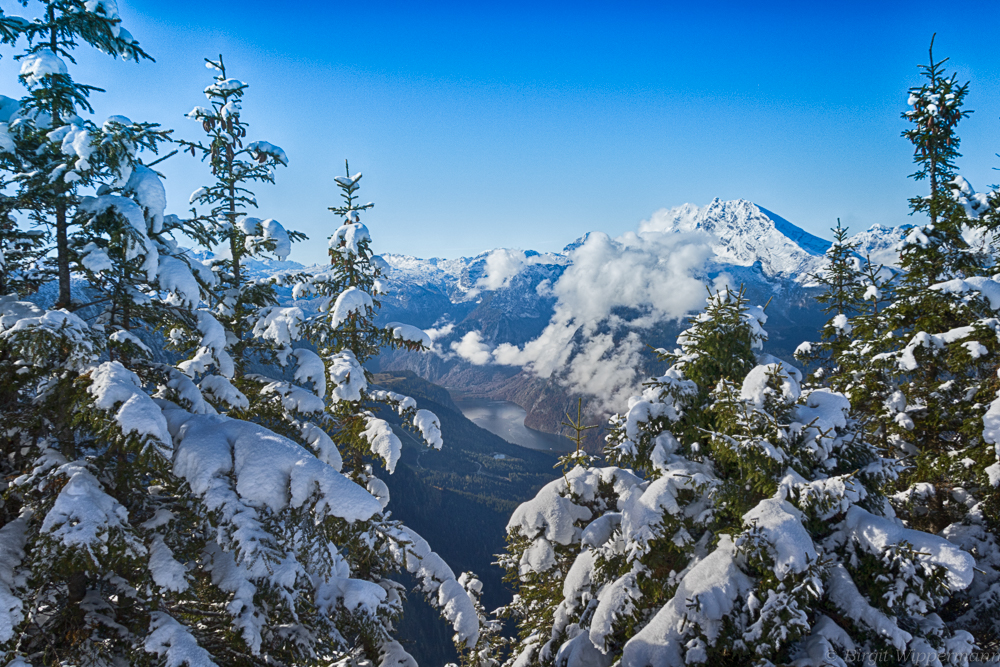 Blick auf den Königssee