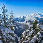 Blick auf den Königssee