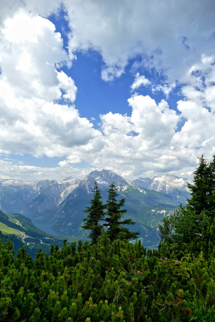 Blick auf den Königssee