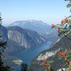 Blick auf den Königssee vom Halsköpfle (Berchtesgaden)