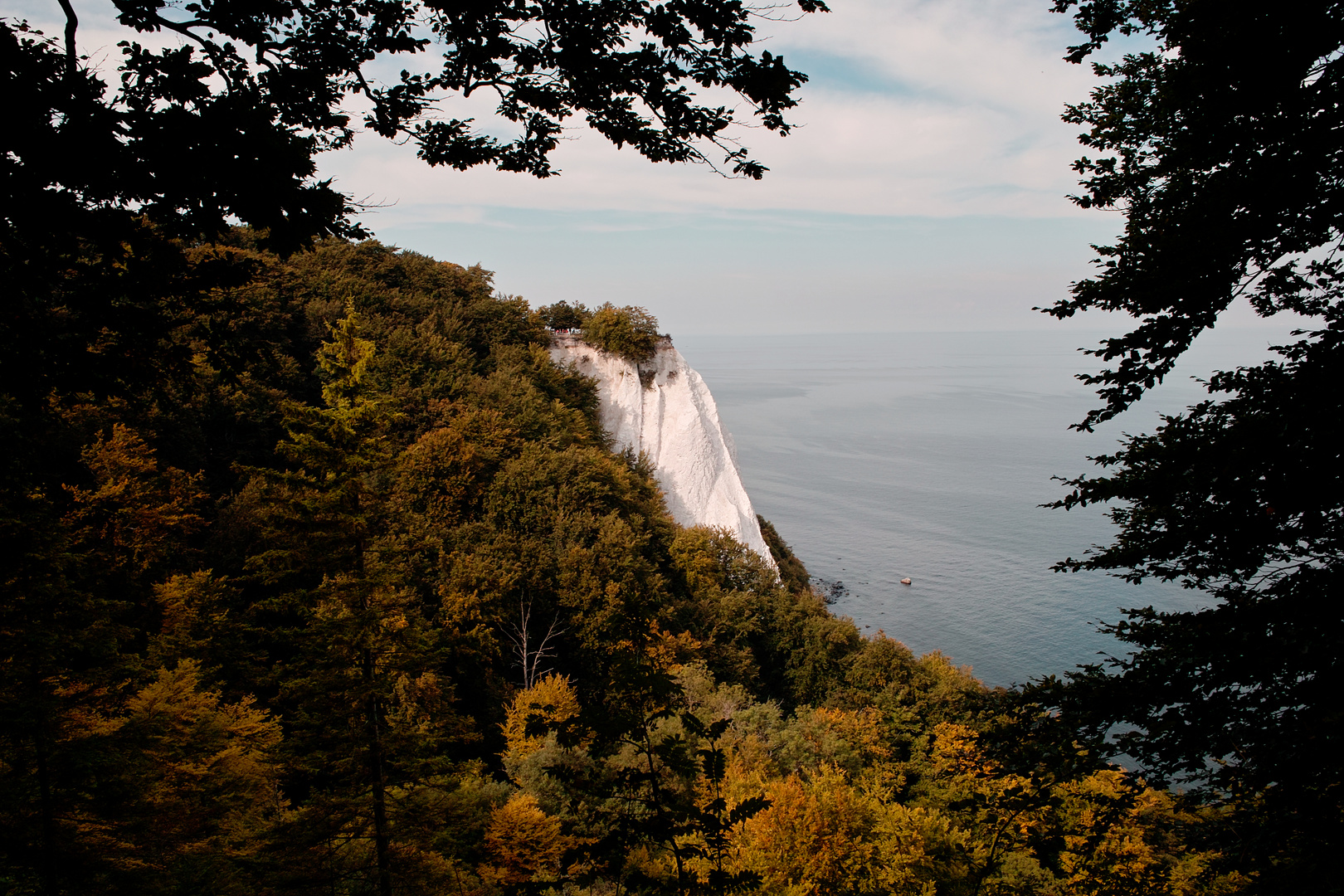 Blick auf den Königsstuhl II (Insel Rügen)