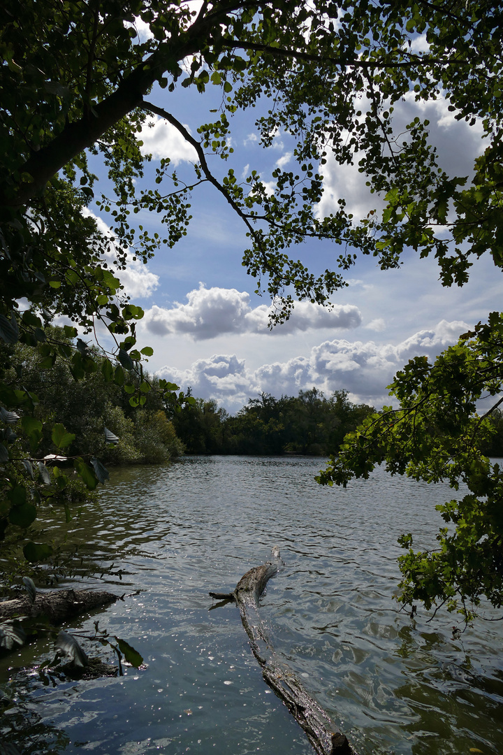 Blick auf den Kreuzteich