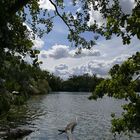 Blick auf den Kreuzteich