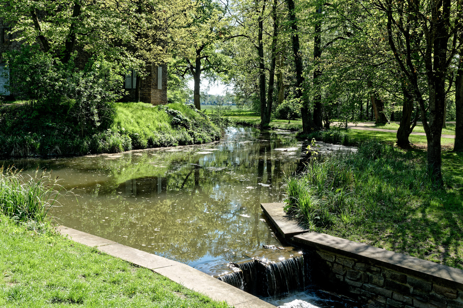 Blick auf den künstlichen Teich des Braubachs an der Burgruine