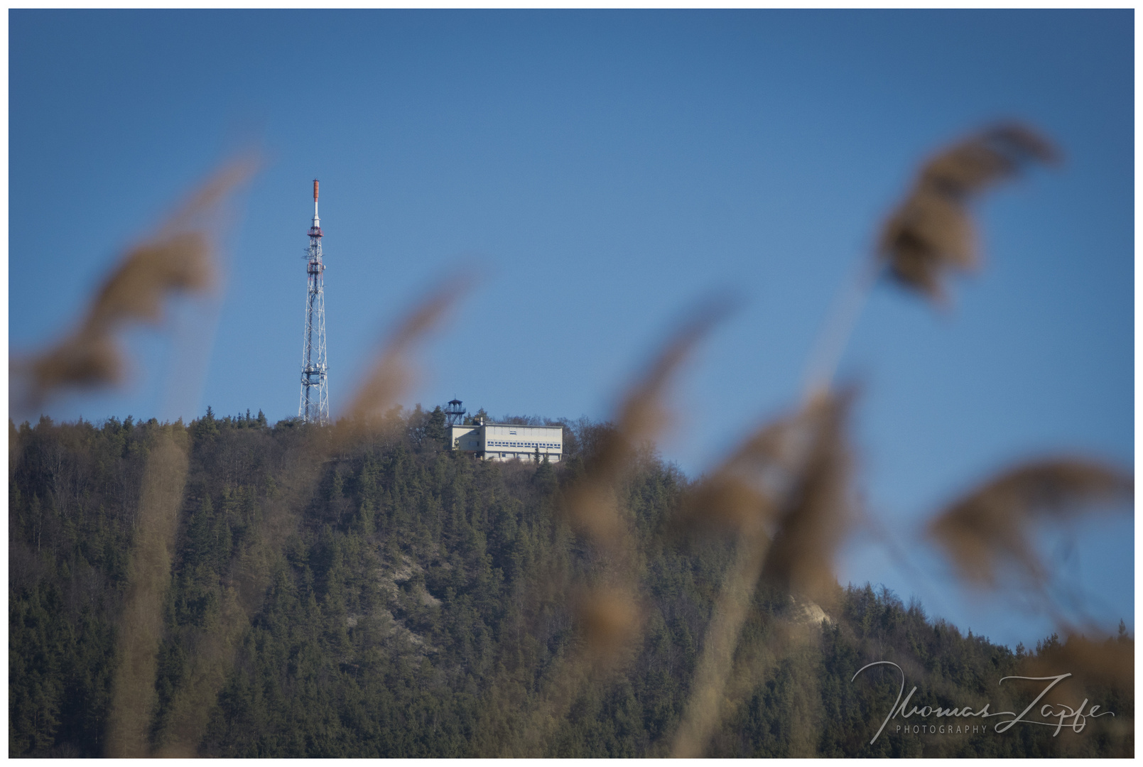 Blick auf den Kulm / Kulmberghaus zu Saalfeld von Richtung Remschütz aus