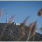 Blick auf den Kulm / Kulmberghaus zu Saalfeld von Richtung Remschütz aus