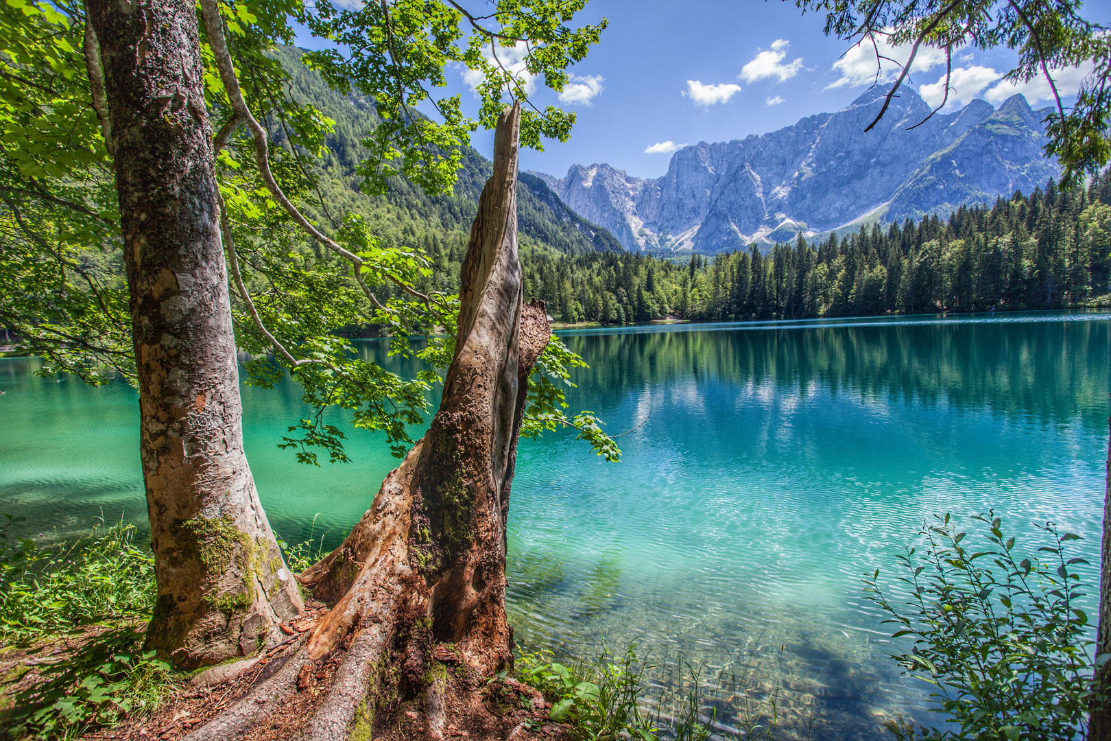 Blick auf den Lago di Fusine in Italien 