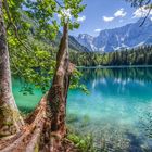 Blick auf den Lago di Fusine in Italien 