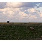 Blick auf den Lancasterdijk