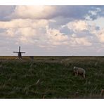 Blick auf den Lancasterdijk