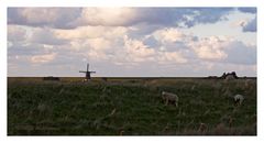 Blick auf den Lancasterdijk