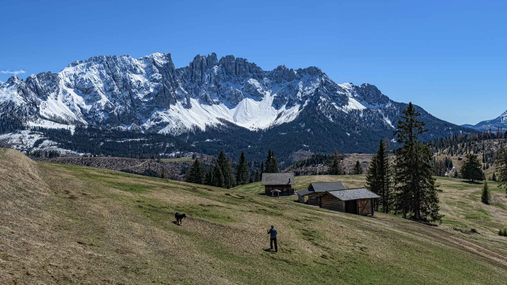 Blick auf den Latemar