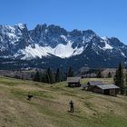 Blick auf den Latemar