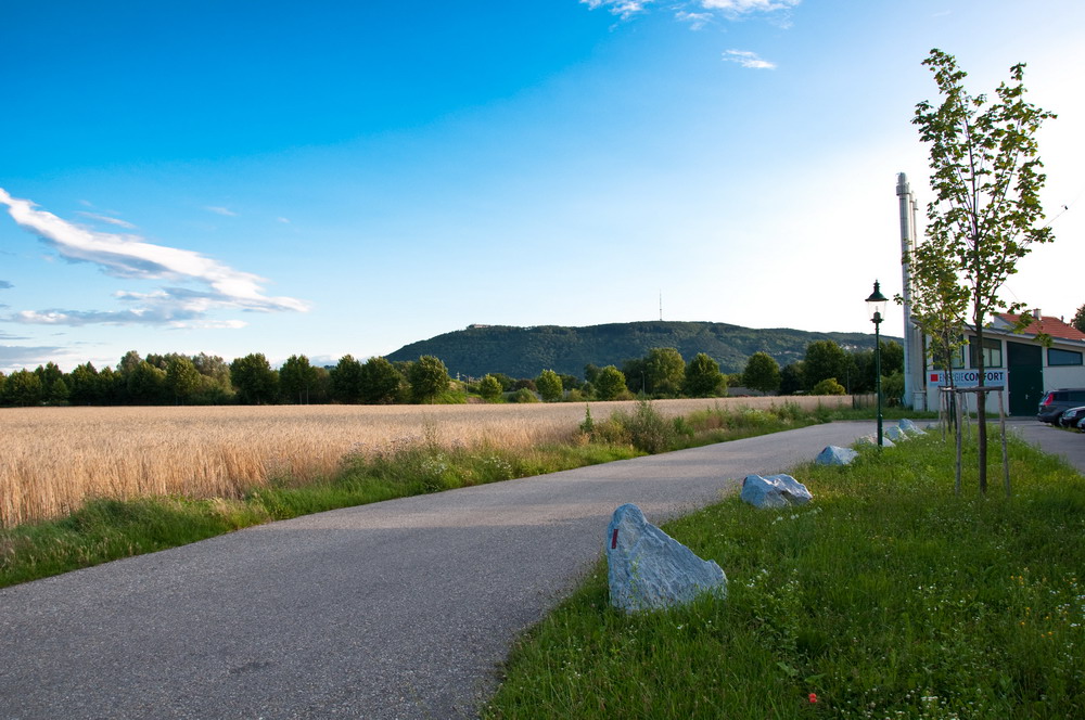 Blick auf den Leopoldsberg