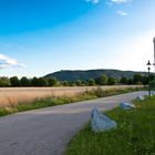 Blick auf den Leopoldsberg