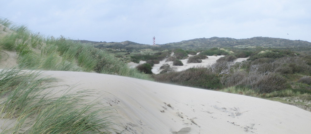 Blick auf den Leuchtturm von New Haamstede Schouwen-Duiveland Zeeland Holland Burg Haamstede