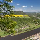 Blick auf den Lilienstein